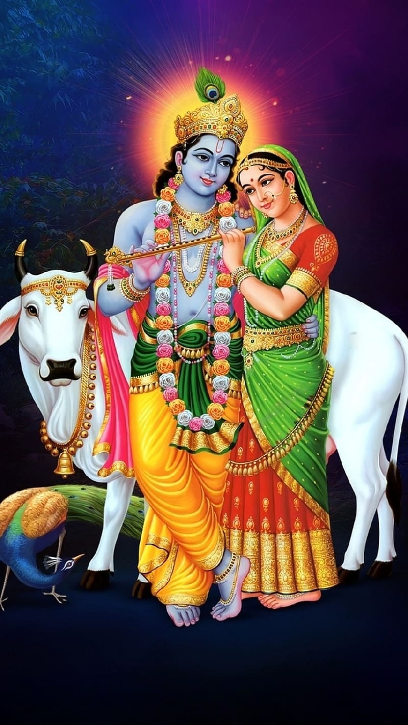 Radhe Krishna, Cow Background, lord, god, HD phone wallpaper | Peakpx