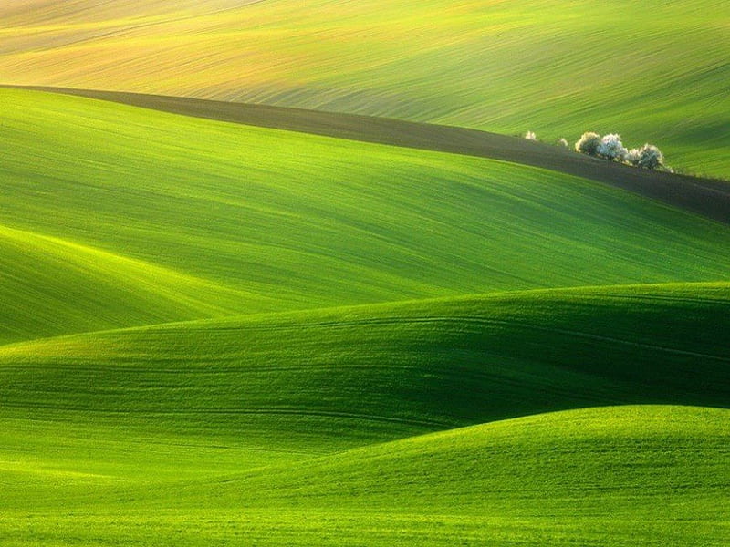 I can see for miles & miles & miles & miles.., hills, bare, grass, lush, smooth, green, rolling, stretch, rich, land, flat, field, HD wallpaper