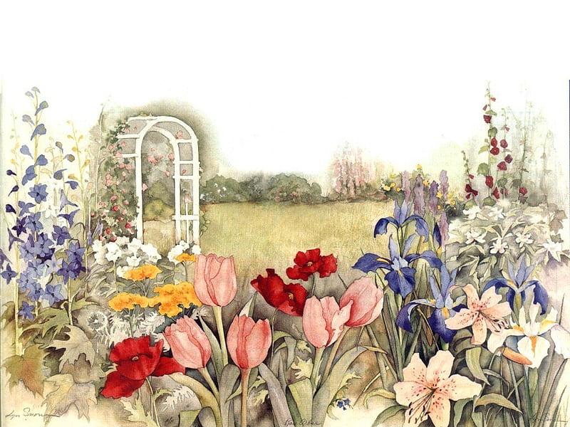 Rose Arbor Garden F1, poppies, lilies, lyn snow, arbor, floral, snow, flowers, garden, irises, nature, tulips, HD wallpaper