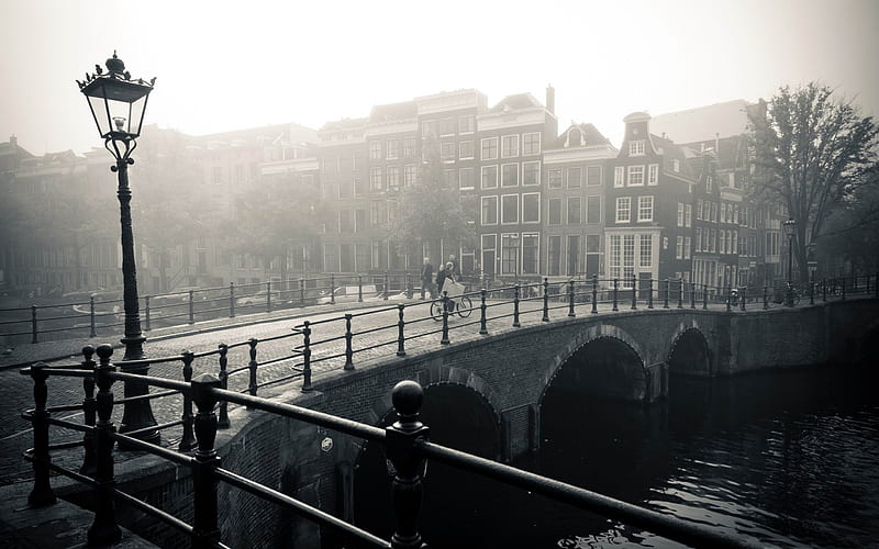 misty amsterdam-Netherlands Landscape, HD wallpaper