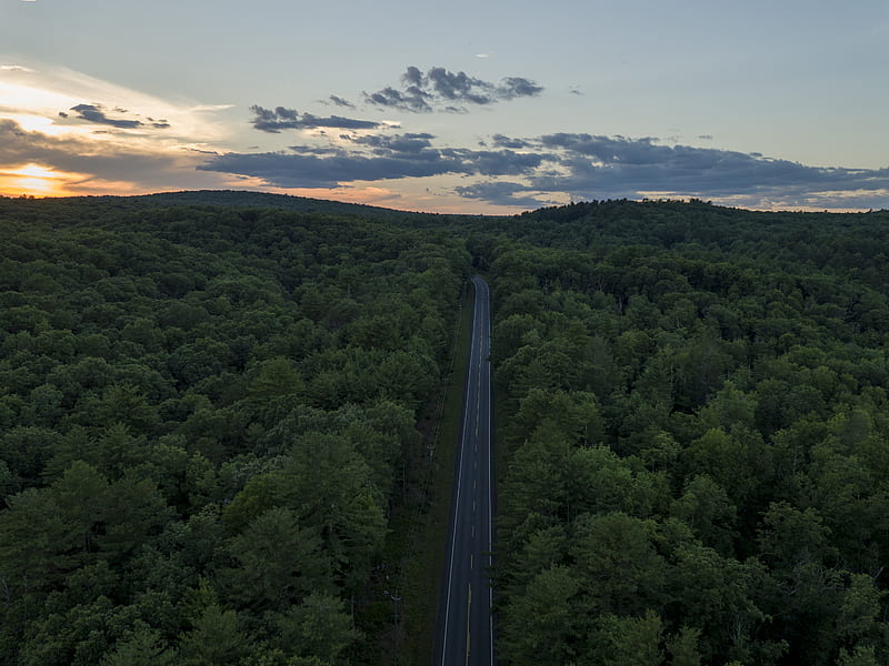 aerial graphy of road between trees during golden hour, HD wallpaper