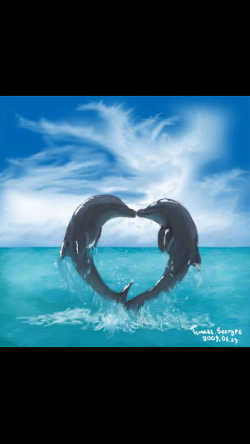 Dolphins Making a Heart at Sunset Dolphin Heart Wallpaper Wallpaper Dolphin  Water Dolphins Pinterest Wallpaper