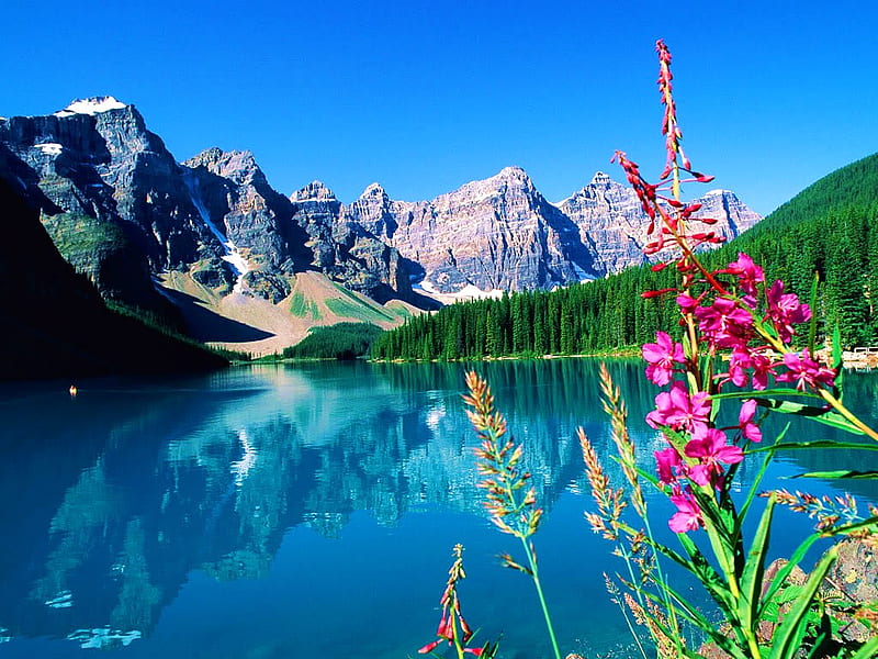 Abounding beauty of nature, clear, mountains, plants, blue sky, trees, lake, HD wallpaper