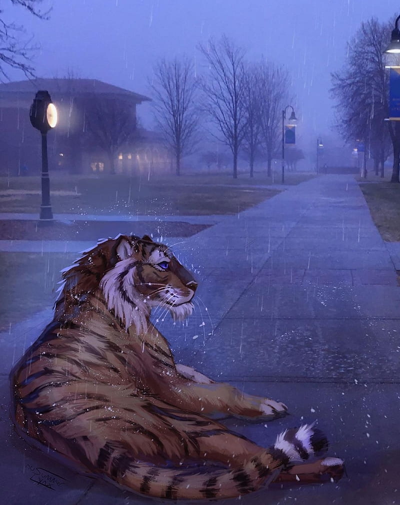 Rainy Tiger Street, campus, purple eyes, rain, school, street lamp, HD phone wallpaper
