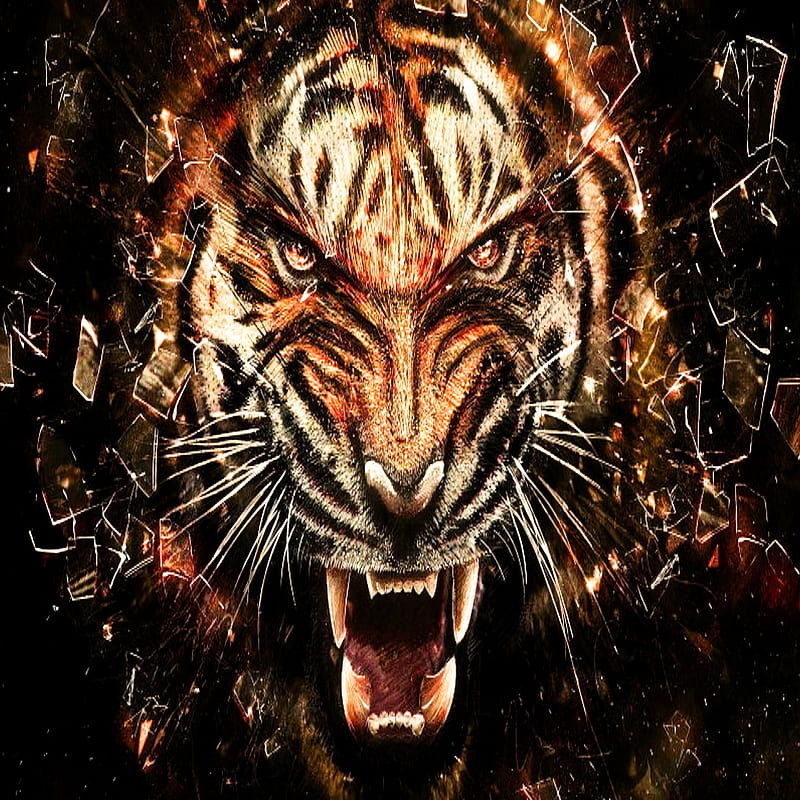 TIGER, angry, king, HD phone wallpaper | Peakpx
