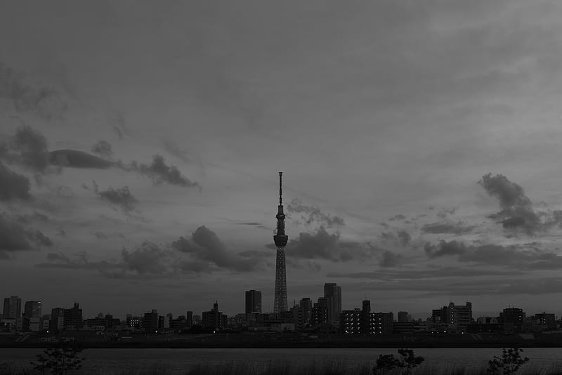 city, buildings, bw, tower, architecture, river, panorama, HD wallpaper