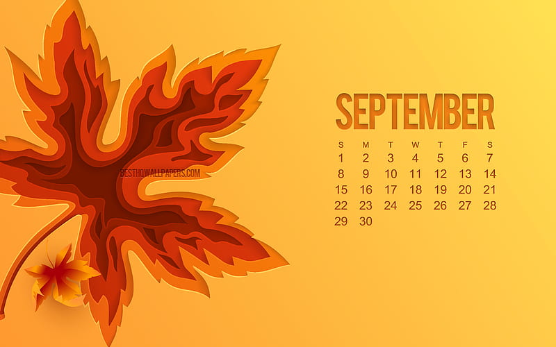 2019 September Calendar, orange background, autumn 3d leaf, September, 2019 calendars, September 2019 Calendar, HD wallpaper