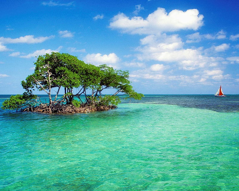 Mangrove Island, mangrove, ocean, trees, sky, clouds, boat, water, island, white, blue, HD wallpaper