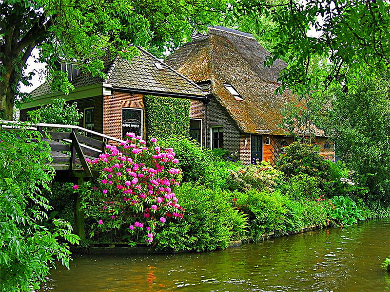 Houses in the green forest, forest, house, romantic place, place, bonito, trees, green, summer, flowers, nature, river, reflection, HD wallpaper