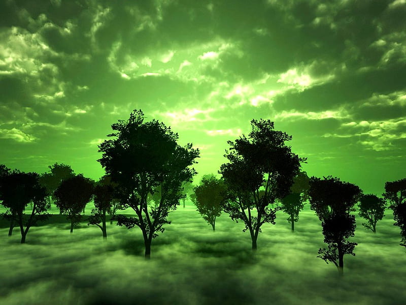 MISTY MORNING, forest, green, morning, misty, clouds, sky, HD wallpaper