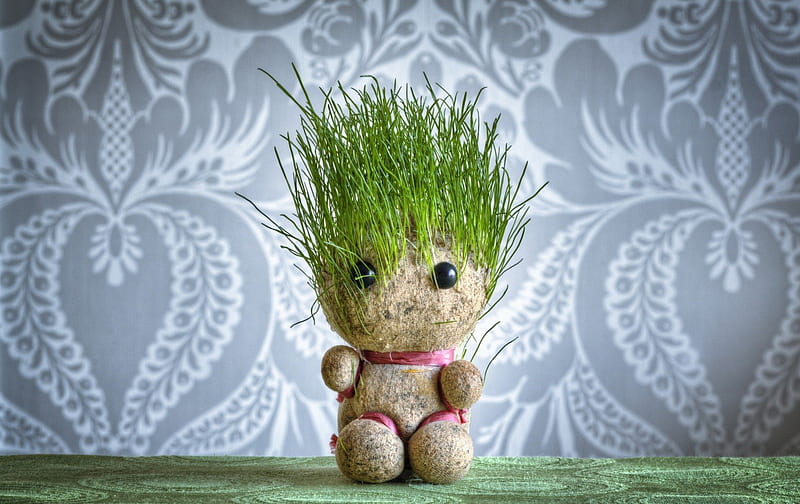 Grass head doll, art, grass, creative, doll, grass head, HD wallpaper