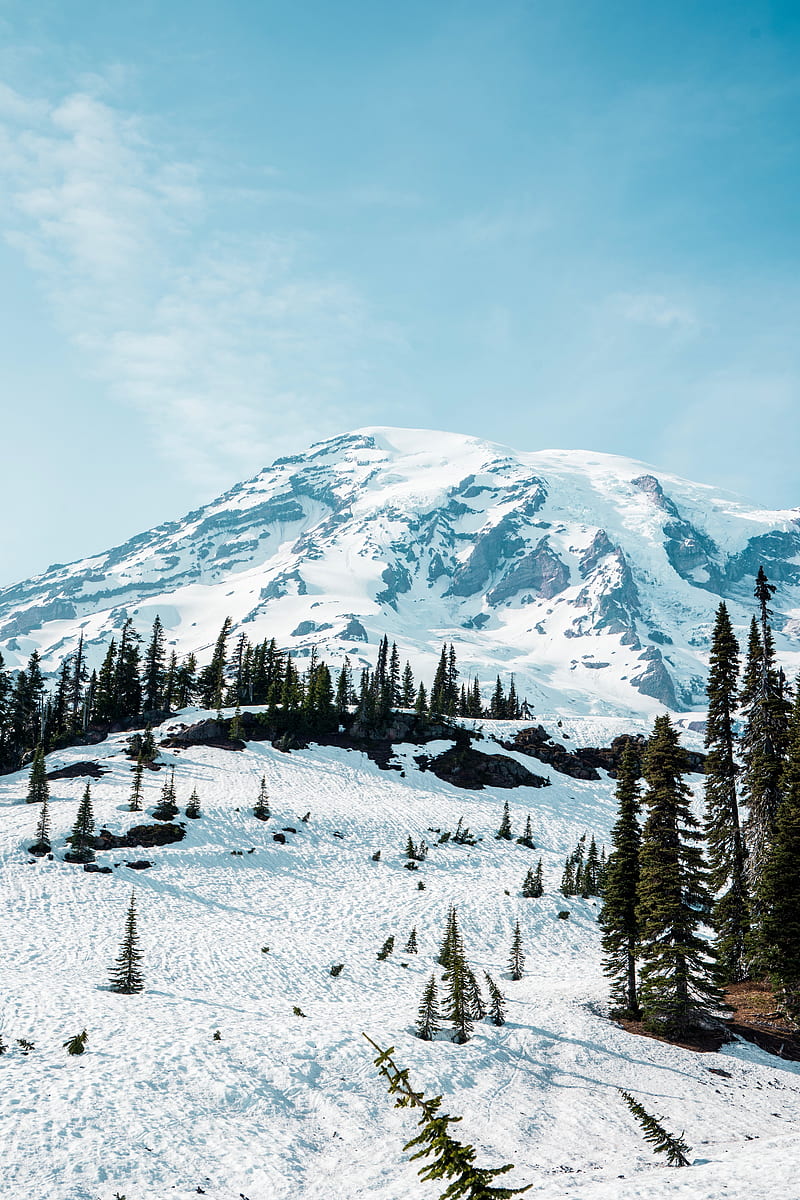 mountain, snow, trees, landscape, winter, HD phone wallpaper