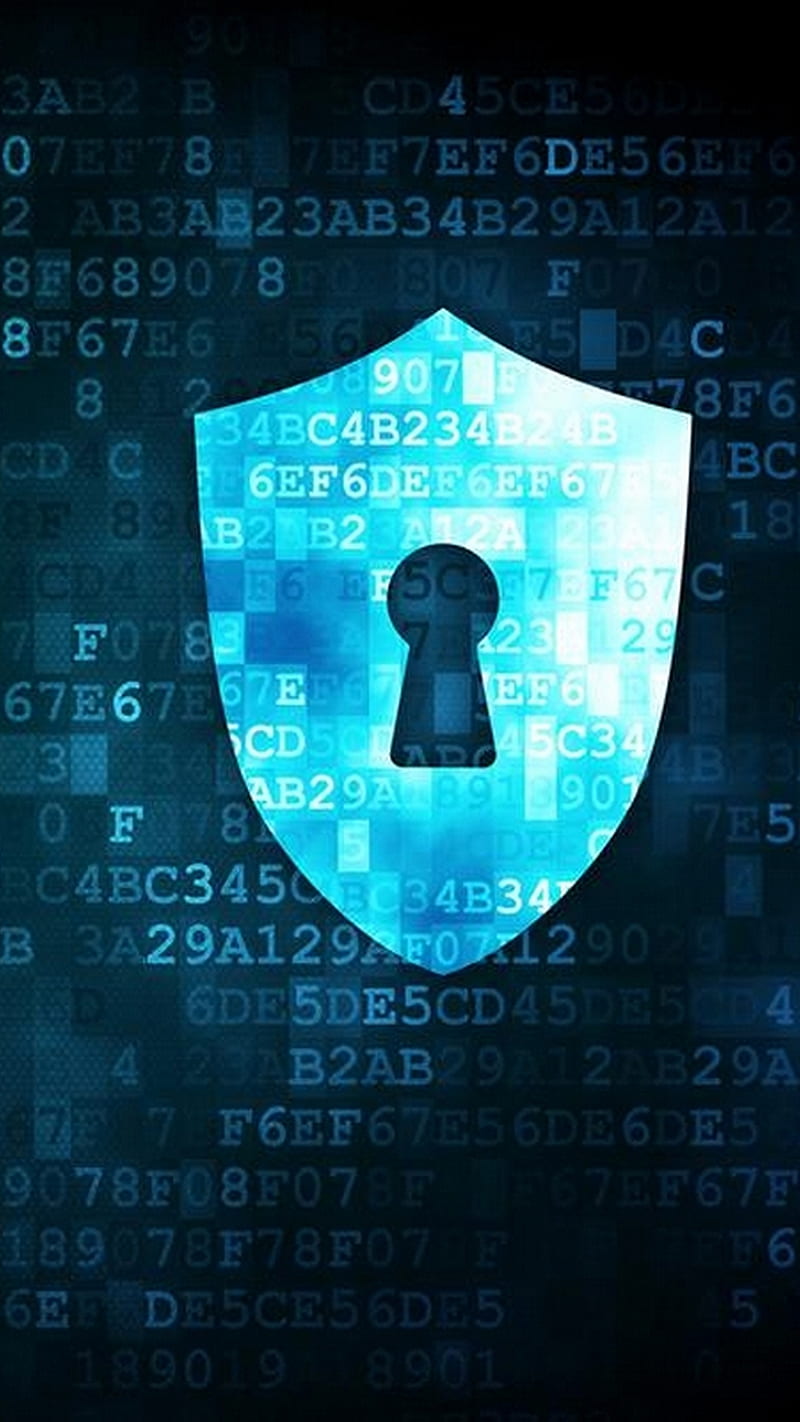 Download Cyber Information Security Wallpaper | Wallpapers.com