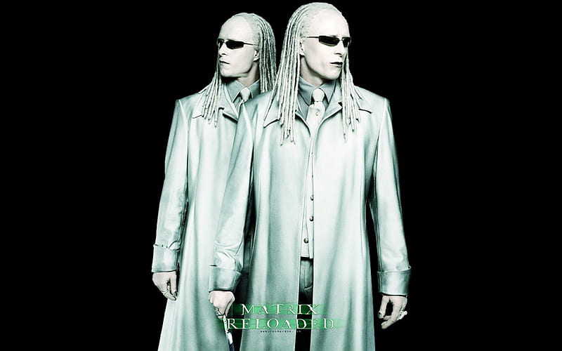 matrix reloaded twins