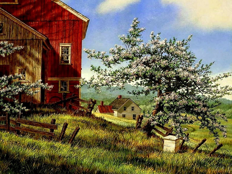 Spring Blossoms, fence, house, flowering trees, pasture, trees, clouds, red barn, barn, HD wallpaper