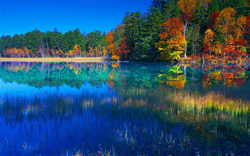 Colors of Autumn Lake background, nice, multicolor bright, paisage, brightness, tranquil, red, bonito, seasons, leaves, roots, green, scenery, beije, blue, lakes, peace, paisagem, day reflected, pi, branches, pc, scene, orange, yellow, cenario, lagoon, lightness, calm, scenario, beauty, morning, rivers, , paysage, cena, trees, sky, panorama, water, cool, serenity, awesome, hop, landscape, colorful, autumn, laguna, trunks, graphy, mirror, light, amazing multi-coloured, clear, colors, leaf, serene, plants, peaceful, colours, reflections, HD wallpaper