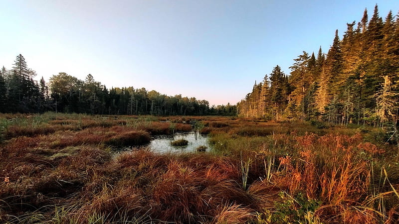 Mactaquac Provincial Park, New Brunswick, fall, autumn, colors, trees, landscape, sky, canada, forest, HD wallpaper