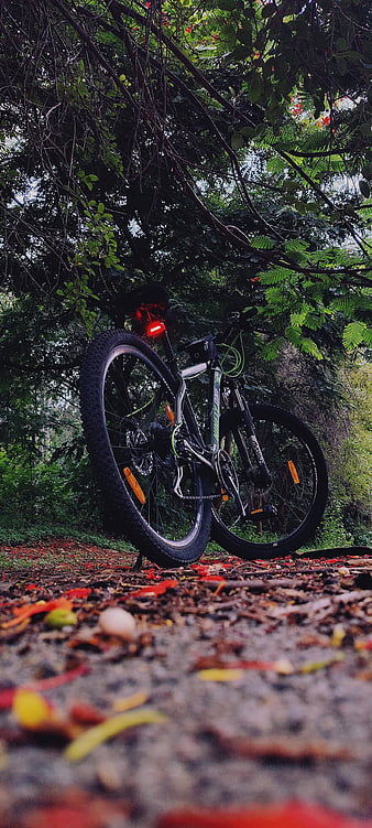 350 Bike Wallpapers Hd HD  Download Free Images On Unsplash