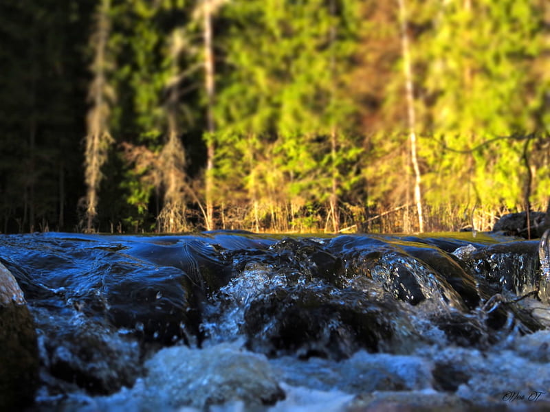 Río, sol, agua, manantial, Fondo de pantalla HD | Peakpx