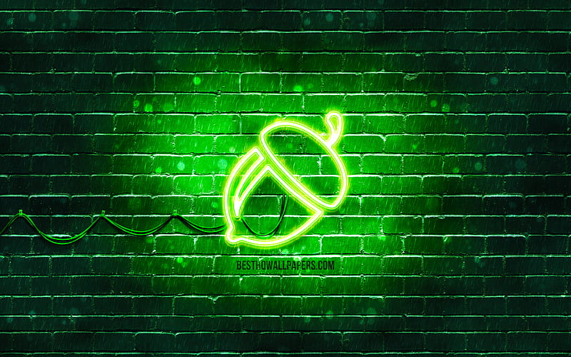 Acorn neon icon green background, neon symbols, Acorn, neon icons, Acorn sign, food signs, Acorn icon, food icons, HD wallpaper