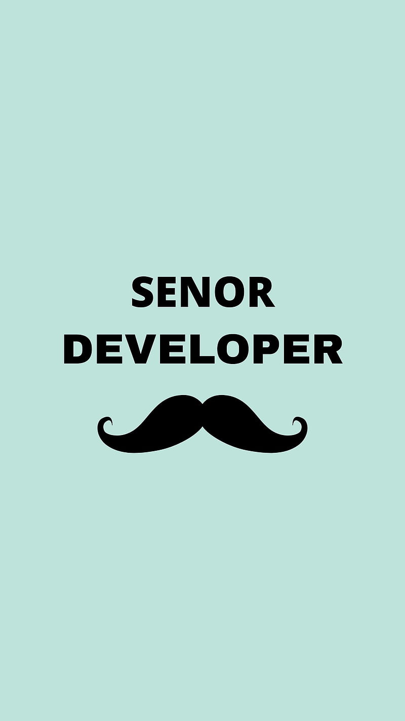 Senor Developer, Hacker programming, JavaScript, Python coder, Software coding, computer science, css web design, html linux, html5 programmer, laptop tech, php developer, HD phone wallpaper