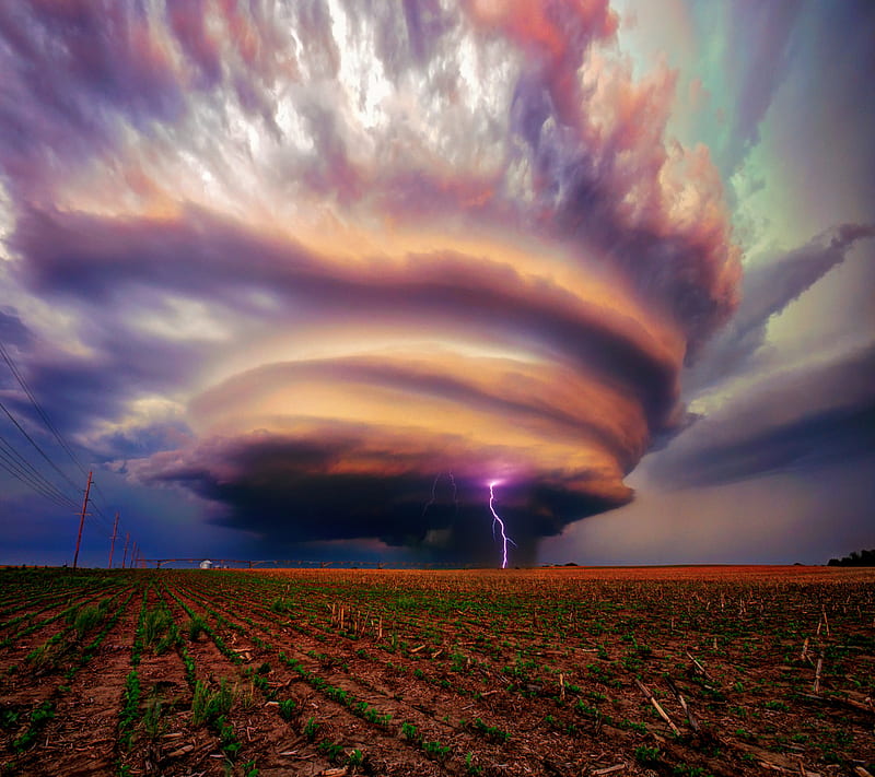 Lightning, field, nature, sky, thunderclouds, HD wallpaper