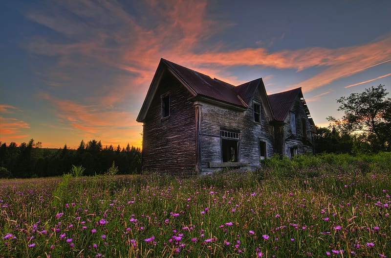 Sunset, Grass, Flower, House, Spring, Ruin, HD wallpaper