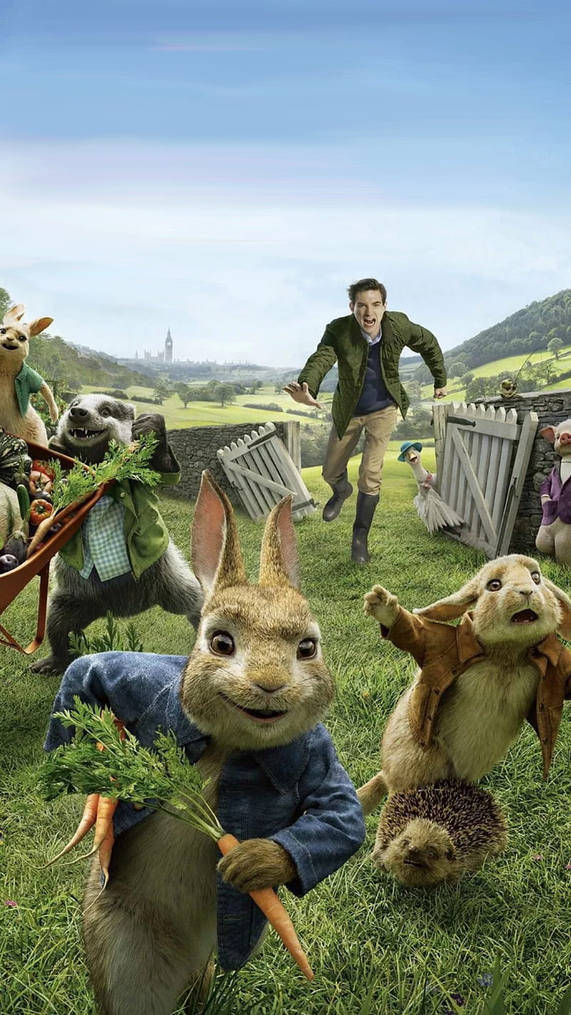 Peter rabbit, animals, animation, humor, movie, HD phone wallpaper
