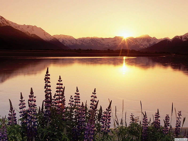 Turnagain Arm Chugach State Park Alaska, mountain, lakes, cool, alaska, love, nature, sunset, HD wallpaper