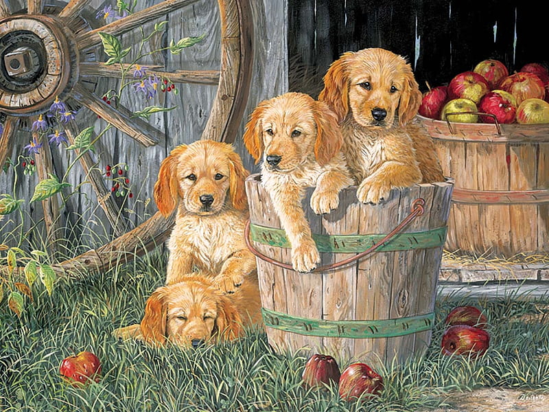 Puppies, caine, puppy, dog, art, apple, bucket, fruit, cute, sea, painting, pictura, HD wallpaper