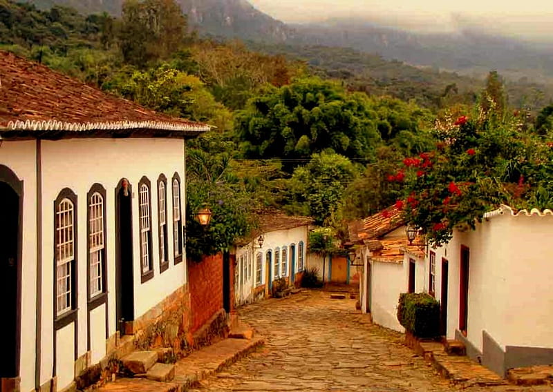 Cobblestone Path, hills, lantern, buildings, trees, fog, mist, walkway, brick, mountains, cobblestone, flowers, path, HD wallpaper