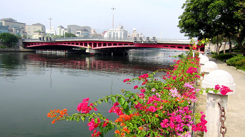 River view, flowers, reflection, footpath, bridge, HD wallpaper