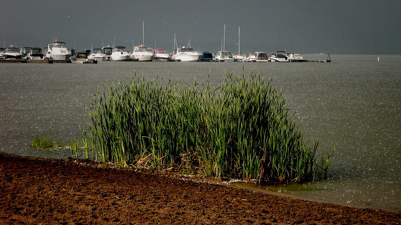 Just another rainy day..., Yachts, Ontario, Shore grass, Canada, Lakes, HD wallpaper