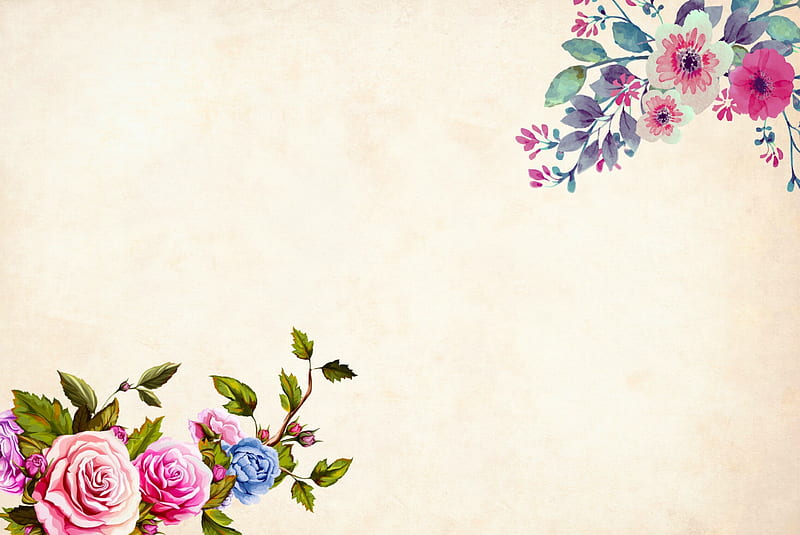 pattern, rose, texture, flower, paper, pink, card, blue, HD wallpaper