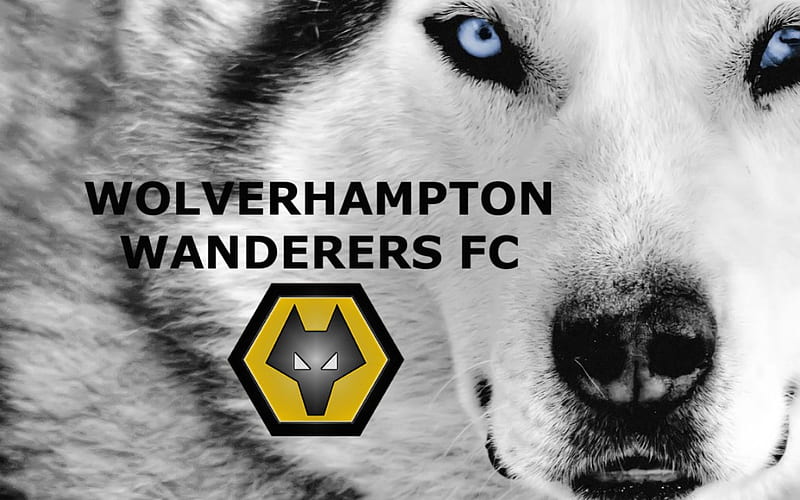 White Wolf, soccer, wolverhampton wanderers, england, White, wolverhampton, screensaver football, wwfc, FC, wolf, wolves, wanderers, HD wallpaper