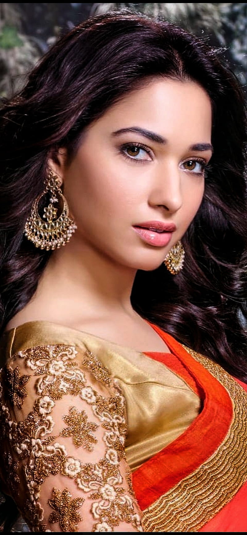 Tamanna Bhatia, Indian actress, Bollywood, Indian sari, traditional Indian  womens clothing, HD wallpaper | Peakpx