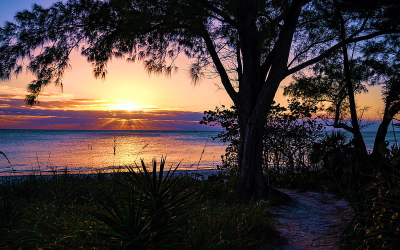 Casey Key, Florida, sky, usa, tree, sun, water, reflection, HD wallpaper
