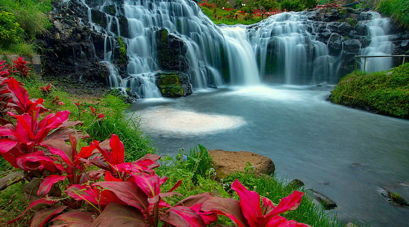 Beautiful waterfall in Thailand, Asia, cascades, exotic, Thailand, flowers, waterfall, park, bonito, HD wallpaper