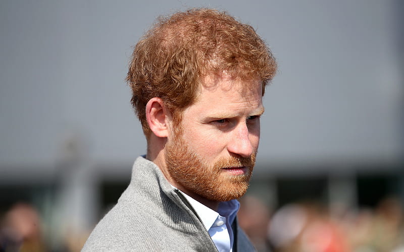 Prince Henry of Wales, Prince Harry, portrait grandson of the queen, HD wallpaper