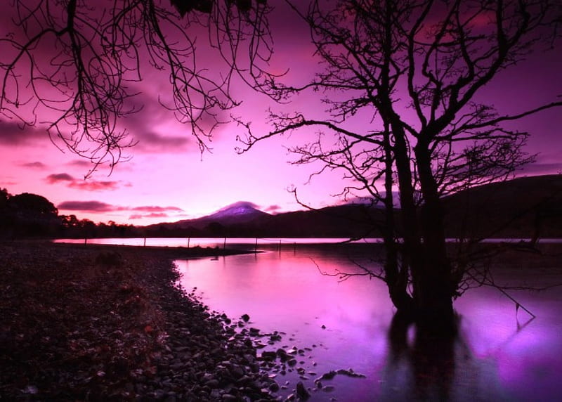 Amazing Purple Dawn, water, mountains, Scotland, river, bonito, trees, sky, HD wallpaper