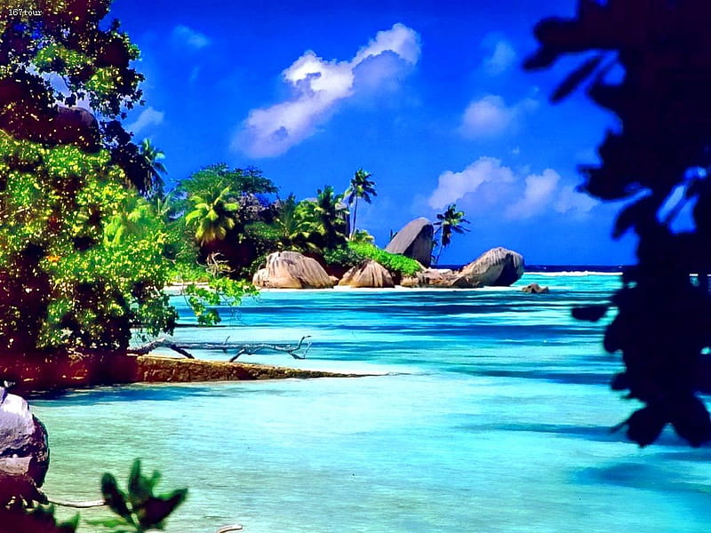 Tropical paradise, rocks, shore, sunny, palm, bonito, clouds, sea ...