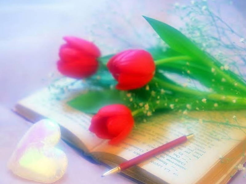 Just Not The Same Without You, book, flowers, nature, pen, HD wallpaper