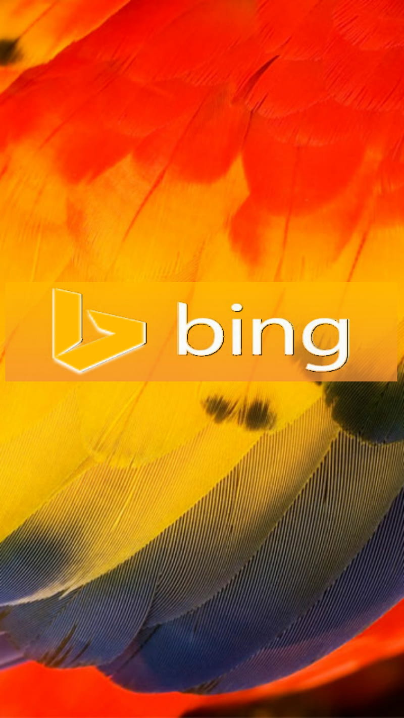 Bing, parrot, yellow, symbian, belle, feathers, HD phone wallpaper | Peakpx