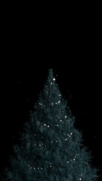 Winter Night, blue, christmas, dark, HD phone wallpaper