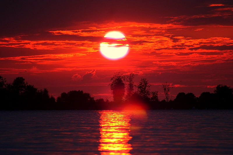 Dawn, red, sun, sky, clouds, lake, tree, heaven, reflection, HD wallpaper