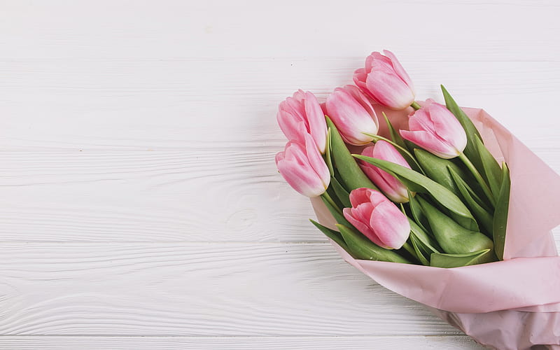 pink tulips, spring bouquet, beautiful pink flowers, tulips, HD wallpaper