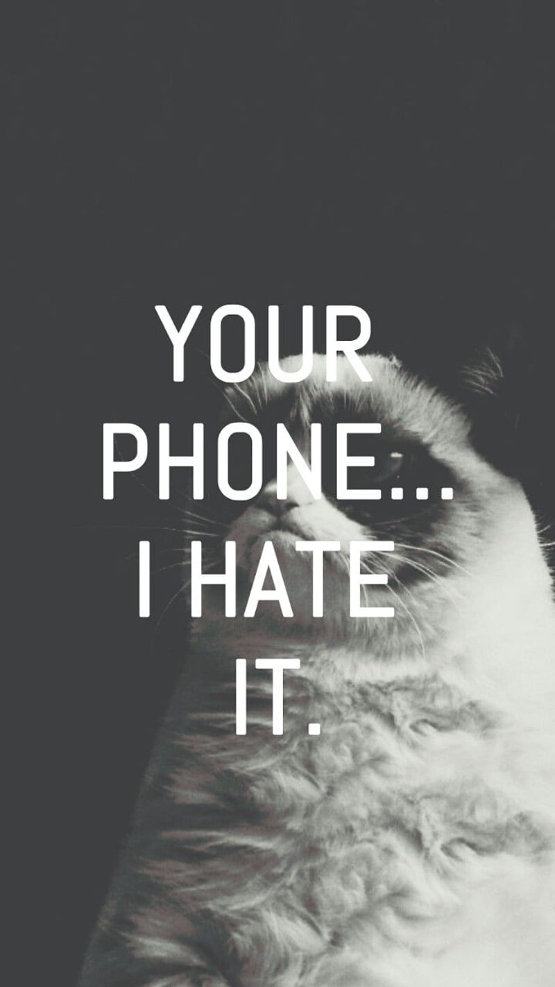 grumpy cat 2, cat, cute, grumpy, pet, HD phone wallpaper