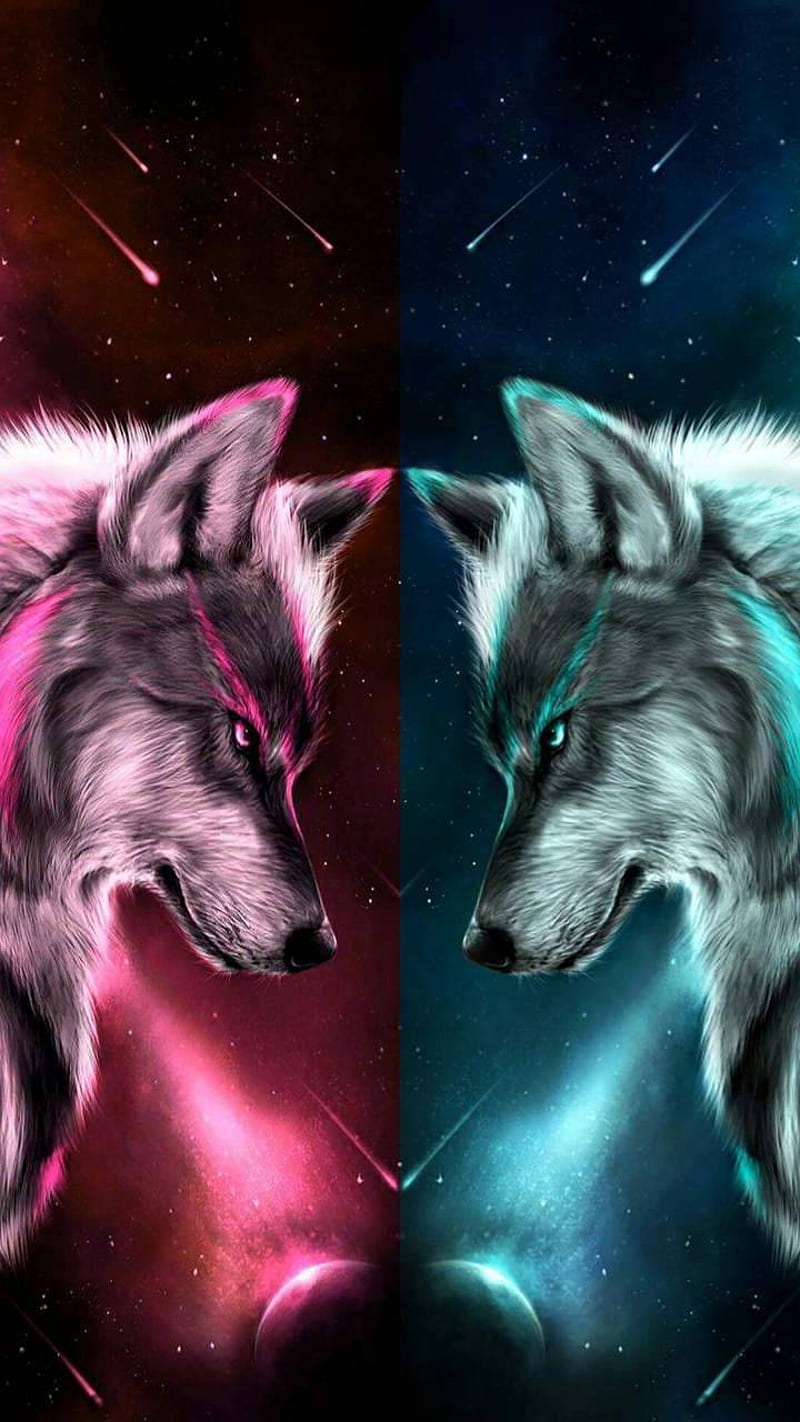 Two Wolves, lights, HD phone wallpaper