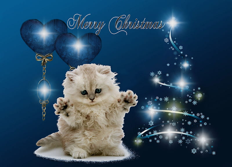 Merry Christmas ! from a lonely kitten, sensual, pretty, foggy, adorable, xmas, sweet, sweetheart, nice, fantasy, colored, love, beauty, face, star, lovely, holiday, christmas, chats, kitty, collage, corazones, pets, cat, baby, cute, cool, merry christmas, snow, heart, awesome, eyes, cats, white, dreamy, christmas tree, holidays, brown, bonito, twilight, cold, santa claus, animal, light, blue, animals, stars, wide eyes, romantic, kittens, colors, mysterious, sparkles, cat face, pet, chat, beautiful eyes, santa, whiskers, myst, drawing, kitten, cat, HD wallpaper