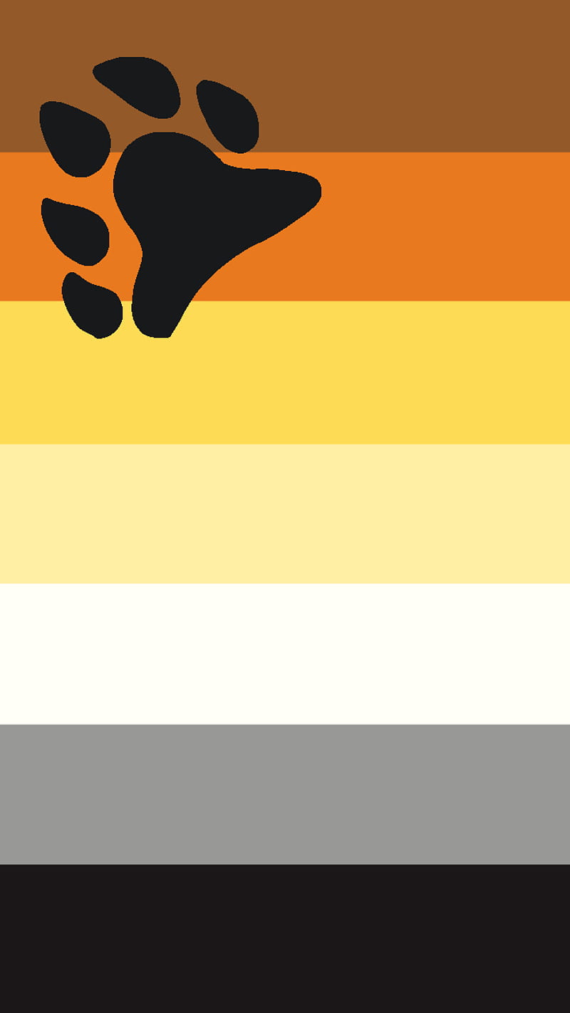 gay brother bear pride flag meaning